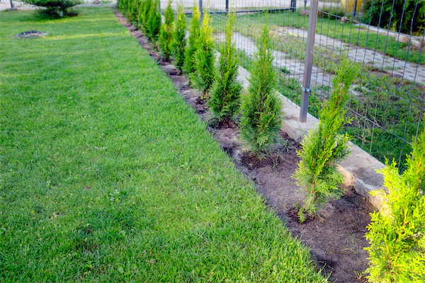 Plantations